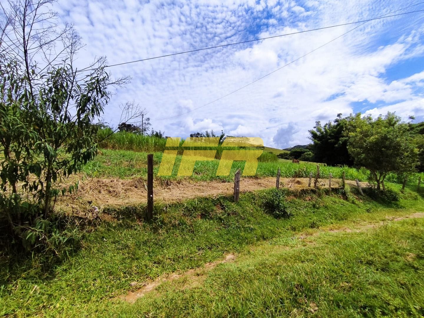 Fazenda, 46 hectares - Foto 19