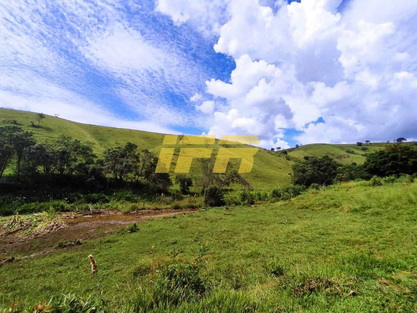 Fazenda, 46 hectares - Foto 38