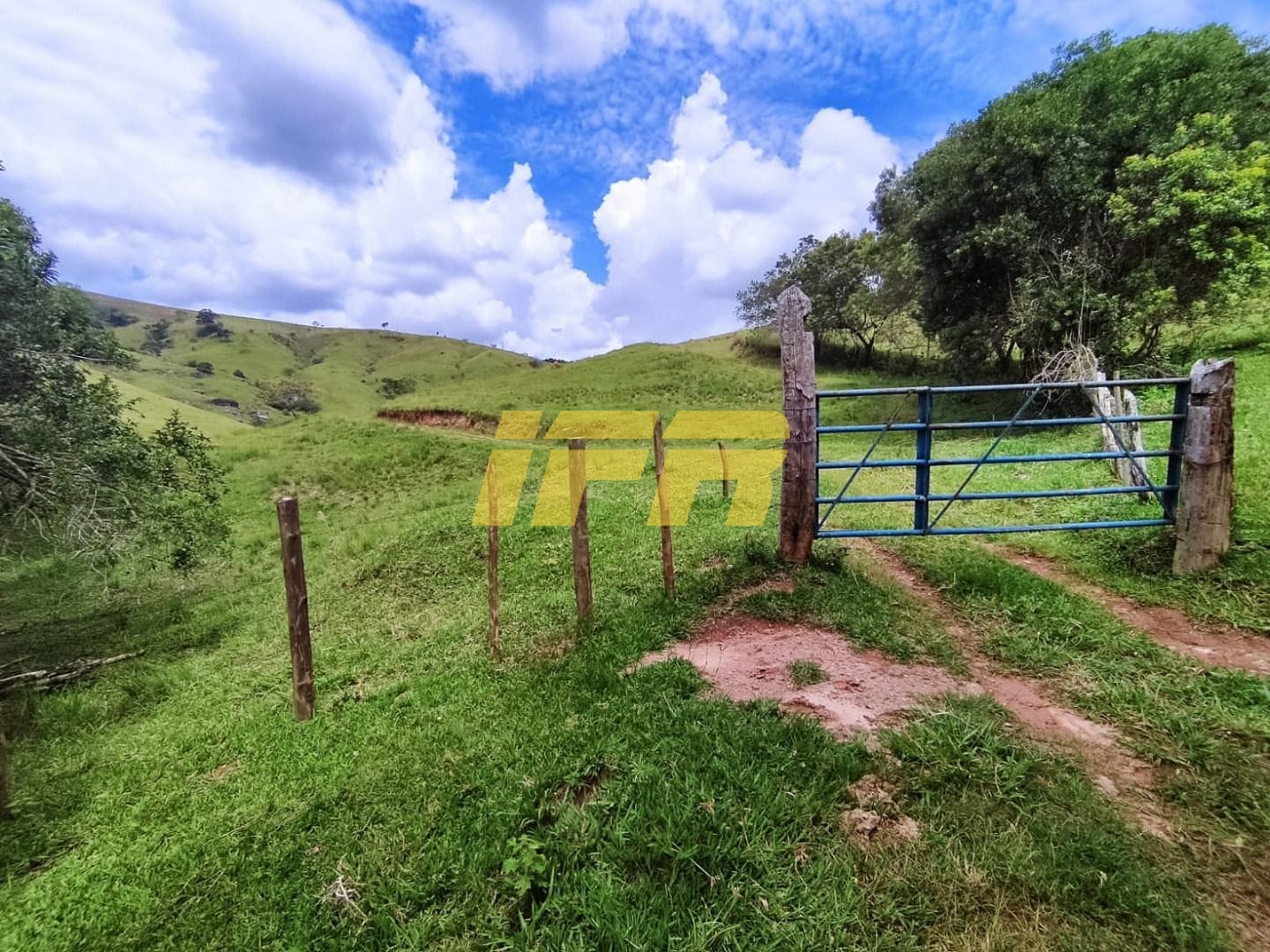 Fazenda, 46 hectares - Foto 26