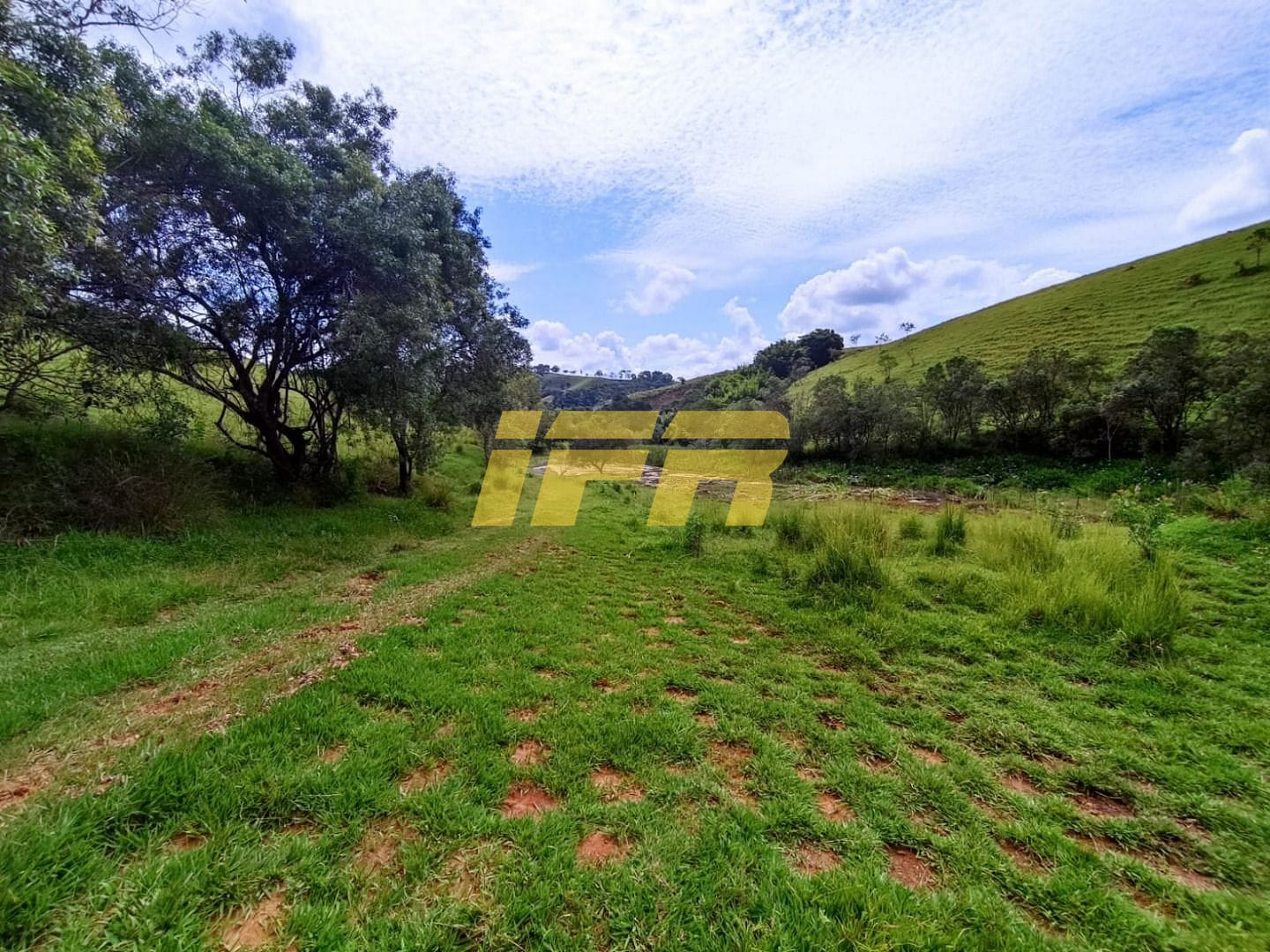 Fazenda, 46 hectares - Foto 36