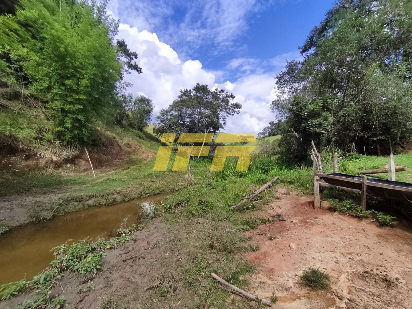 Fazenda, 46 hectares - Foto 44