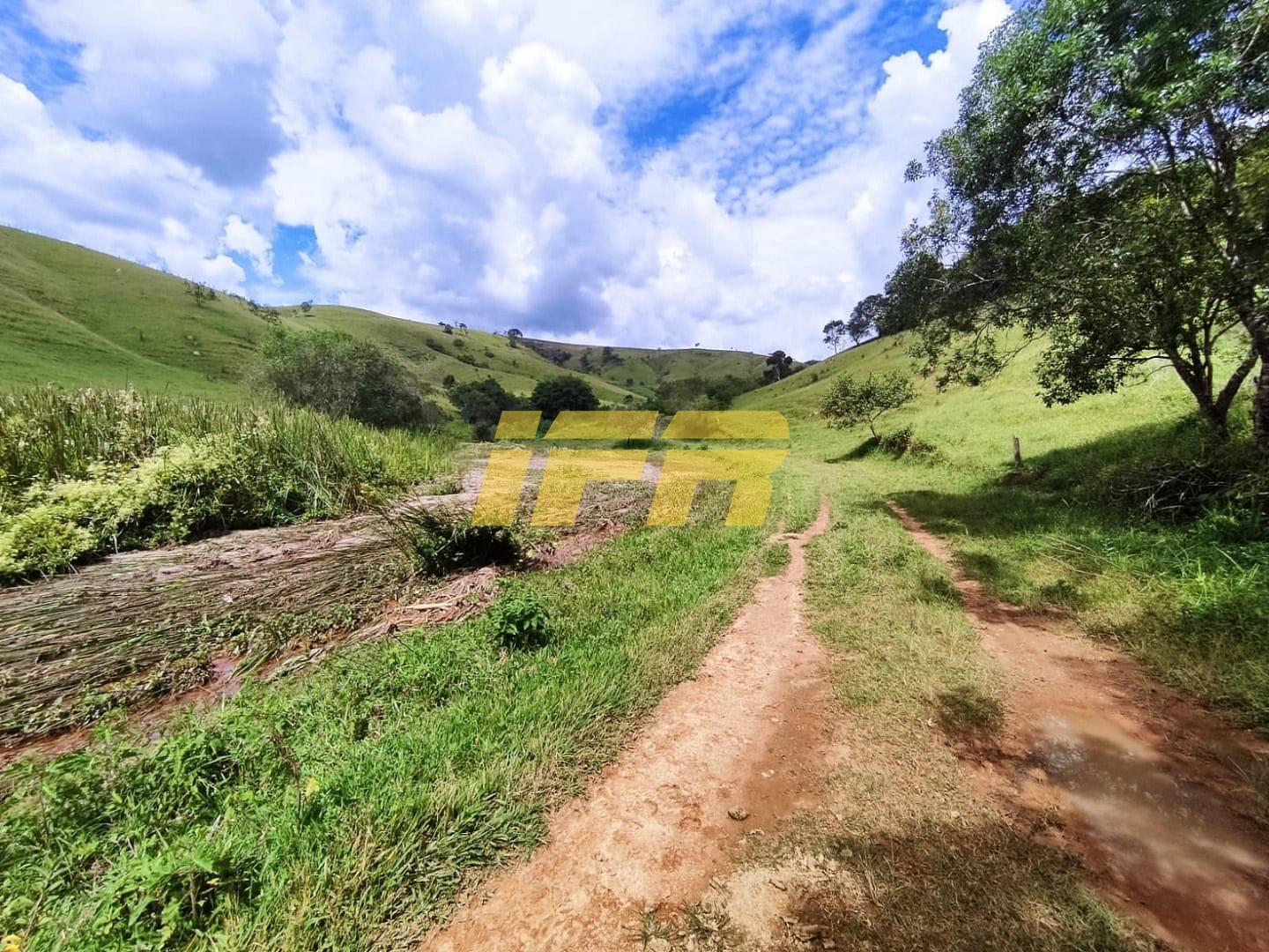 Fazenda, 46 hectares - Foto 45