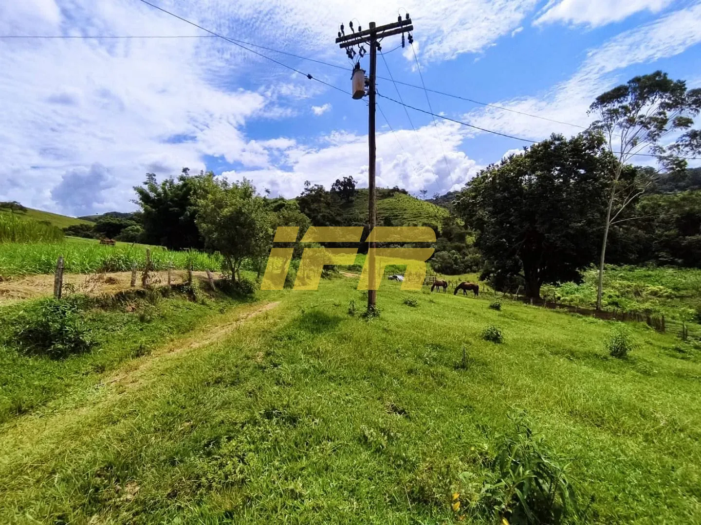 Fazenda, 46 hectares - Foto 13