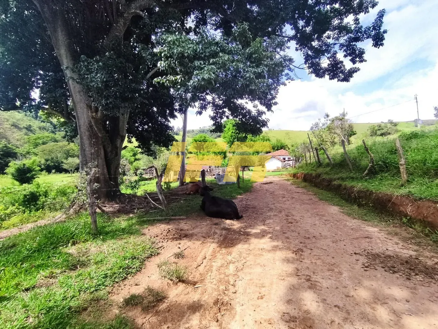 Fazenda, 46 hectares - Foto 52