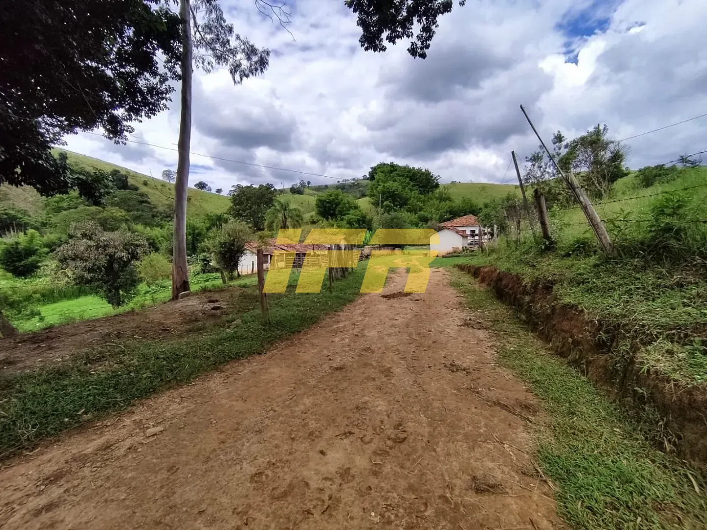 Fazenda, 46 hectares - Foto 5