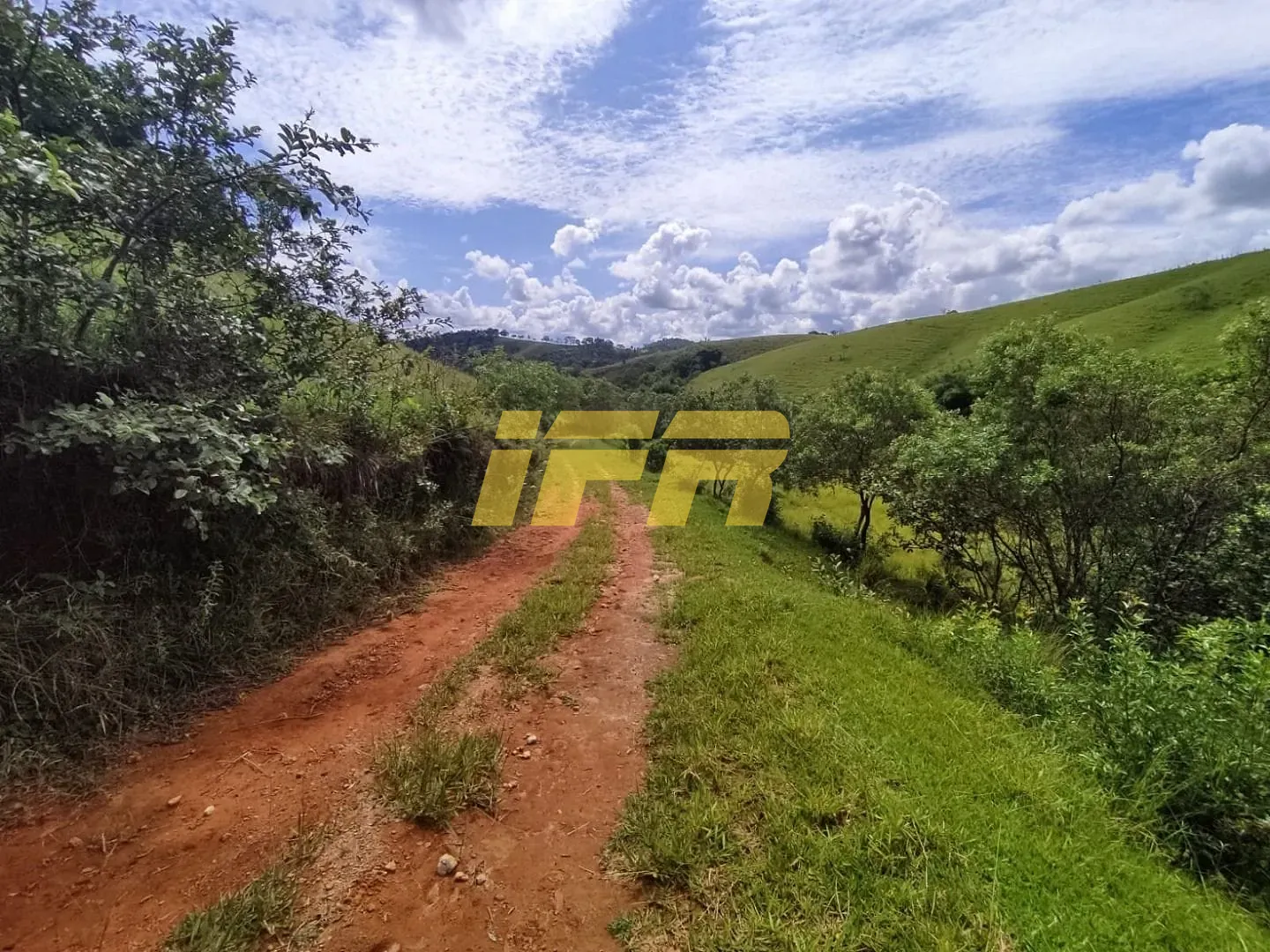 Fazenda, 46 hectares - Foto 20