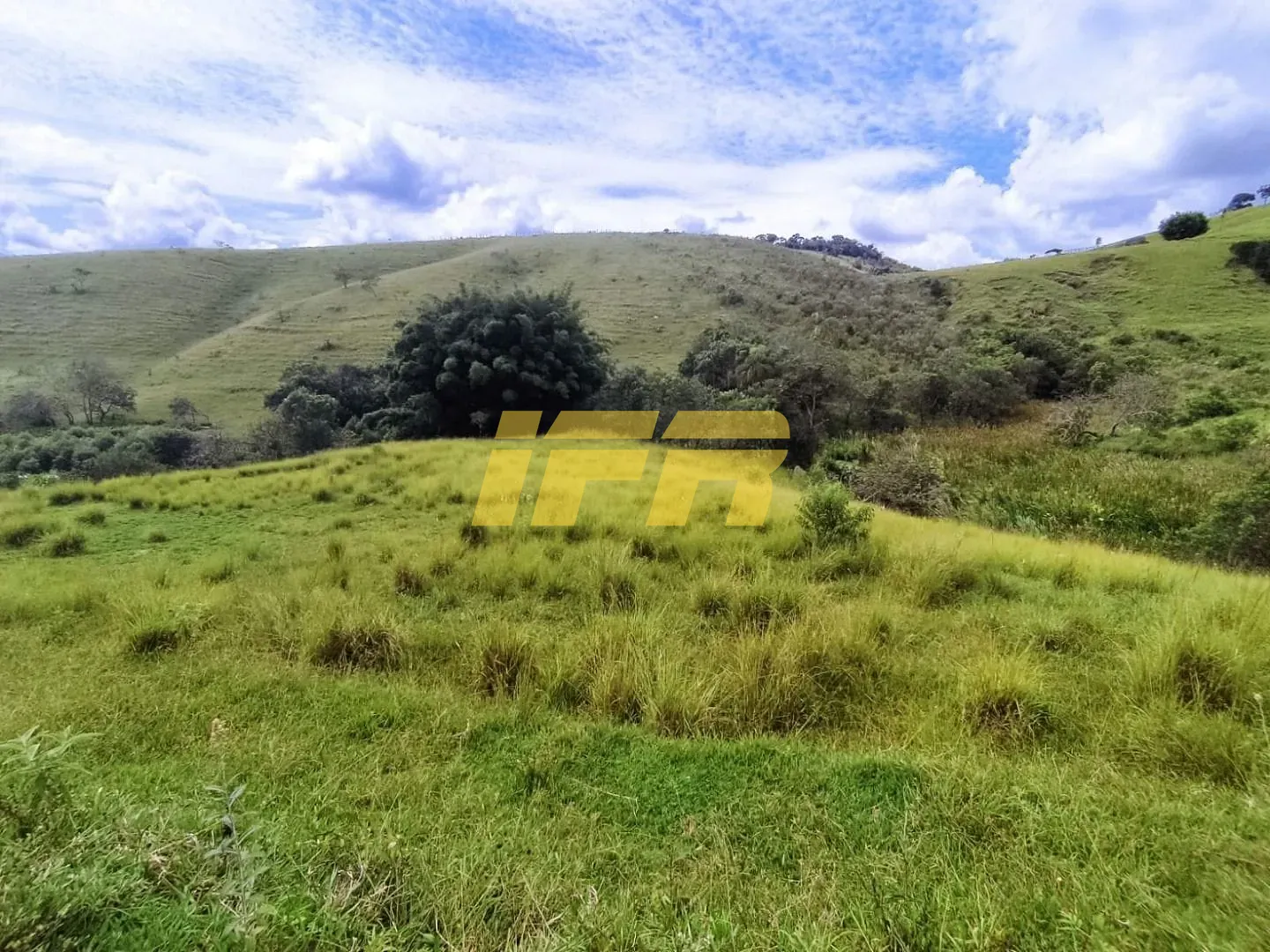Fazenda, 46 hectares - Foto 34