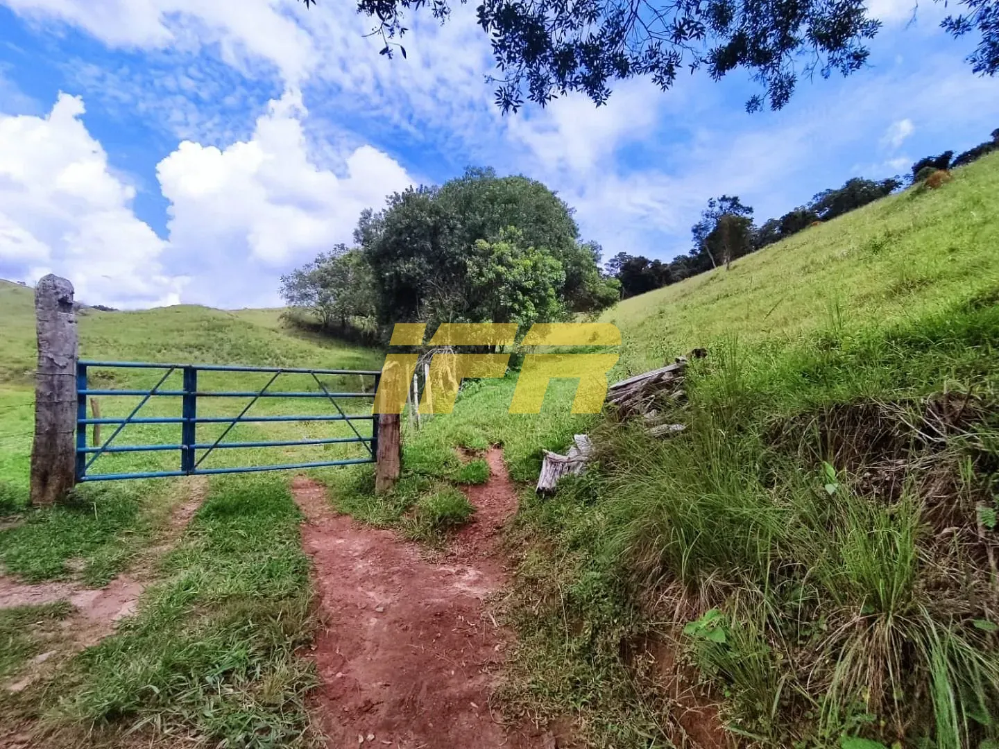 Fazenda, 46 hectares - Foto 25