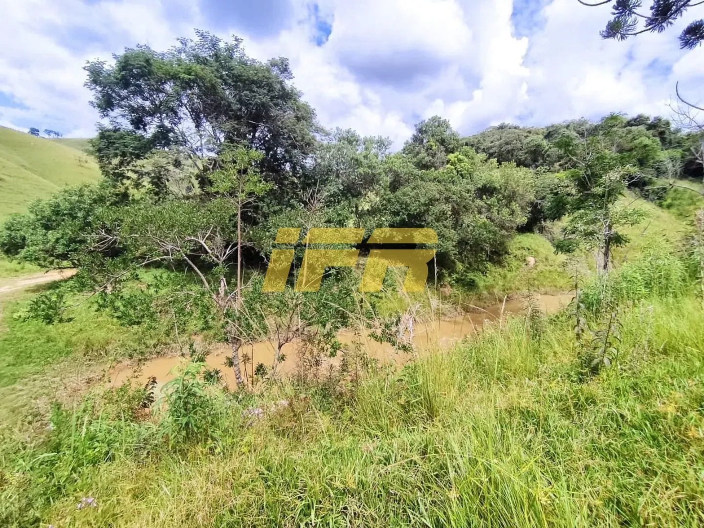 Fazenda, 46 hectares - Foto 24