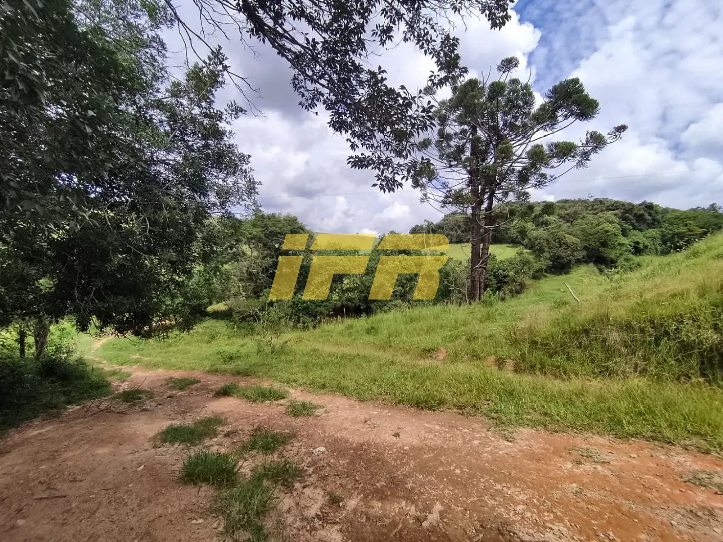 Fazenda, 46 hectares - Foto 16