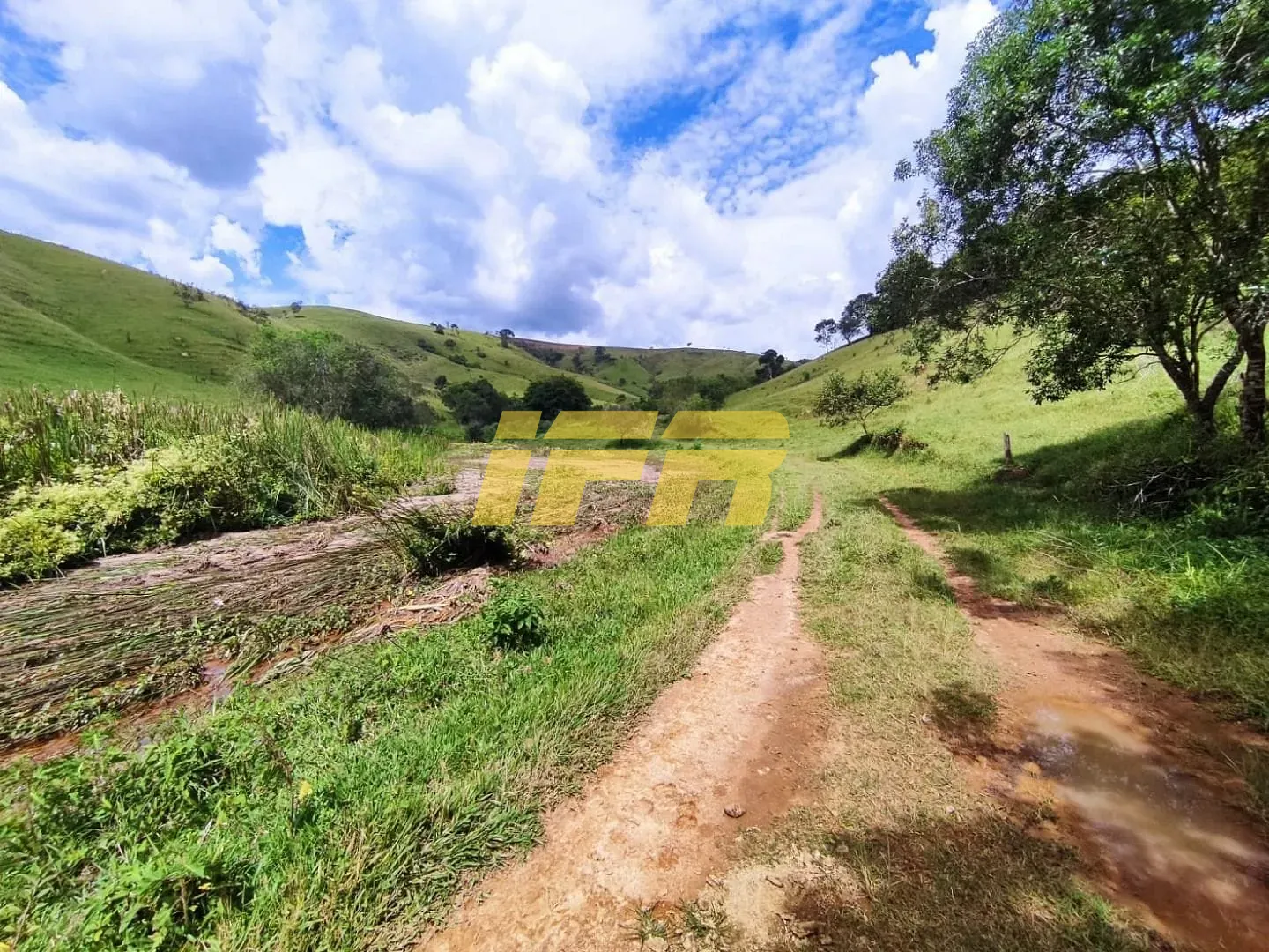 Fazenda, 46 hectares - Foto 39