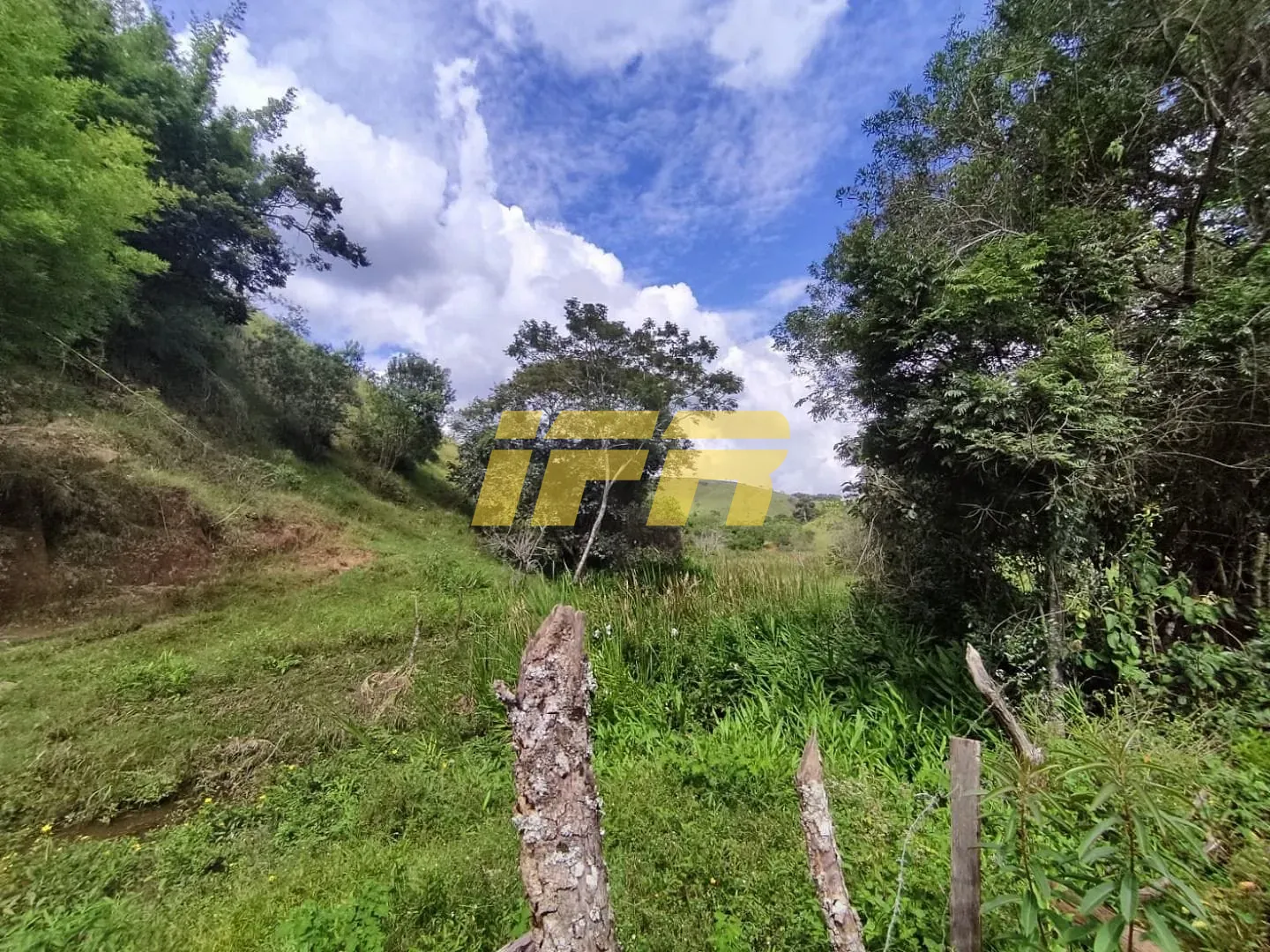 Fazenda, 46 hectares - Foto 43