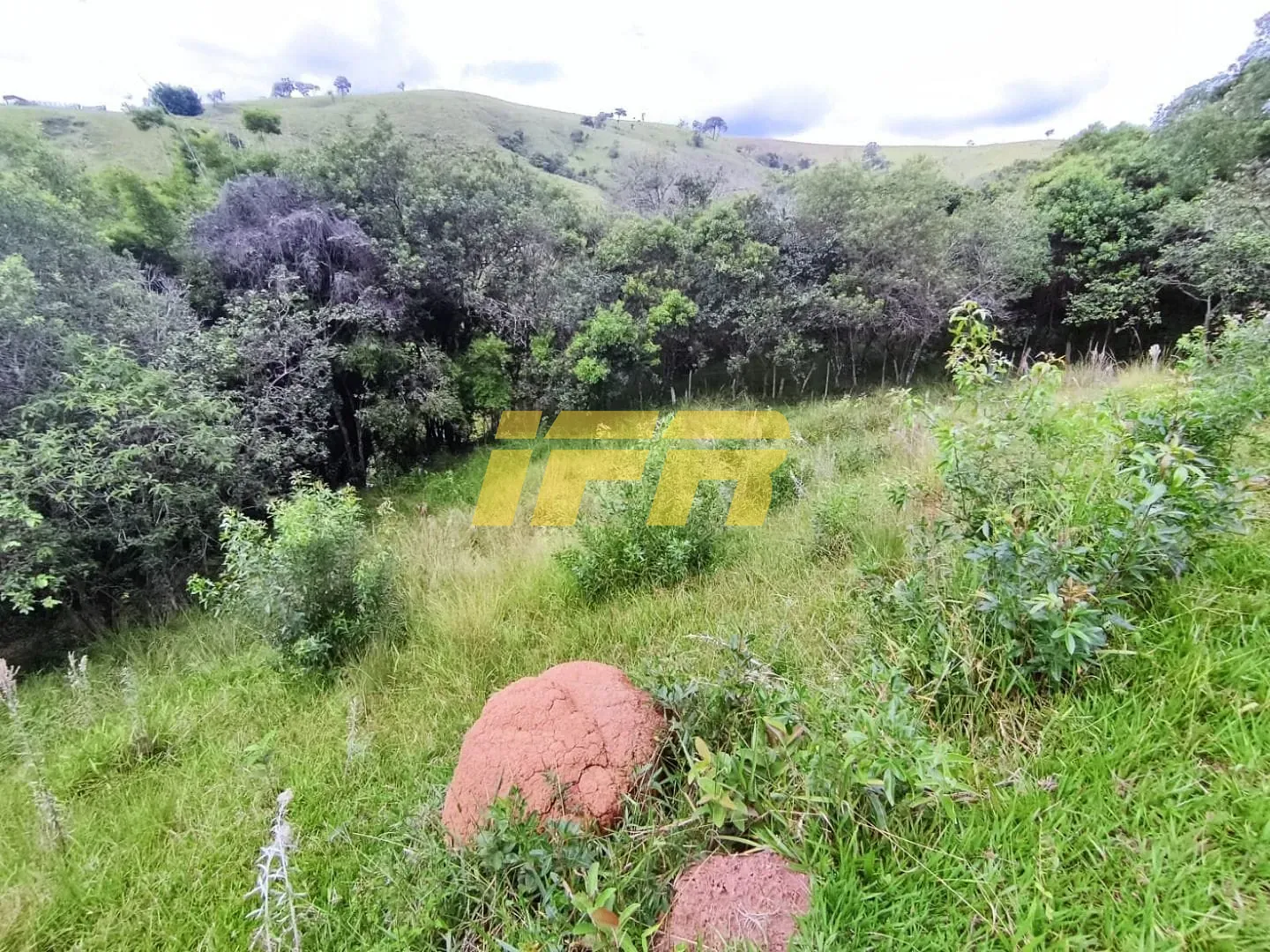 Fazenda, 46 hectares - Foto 33