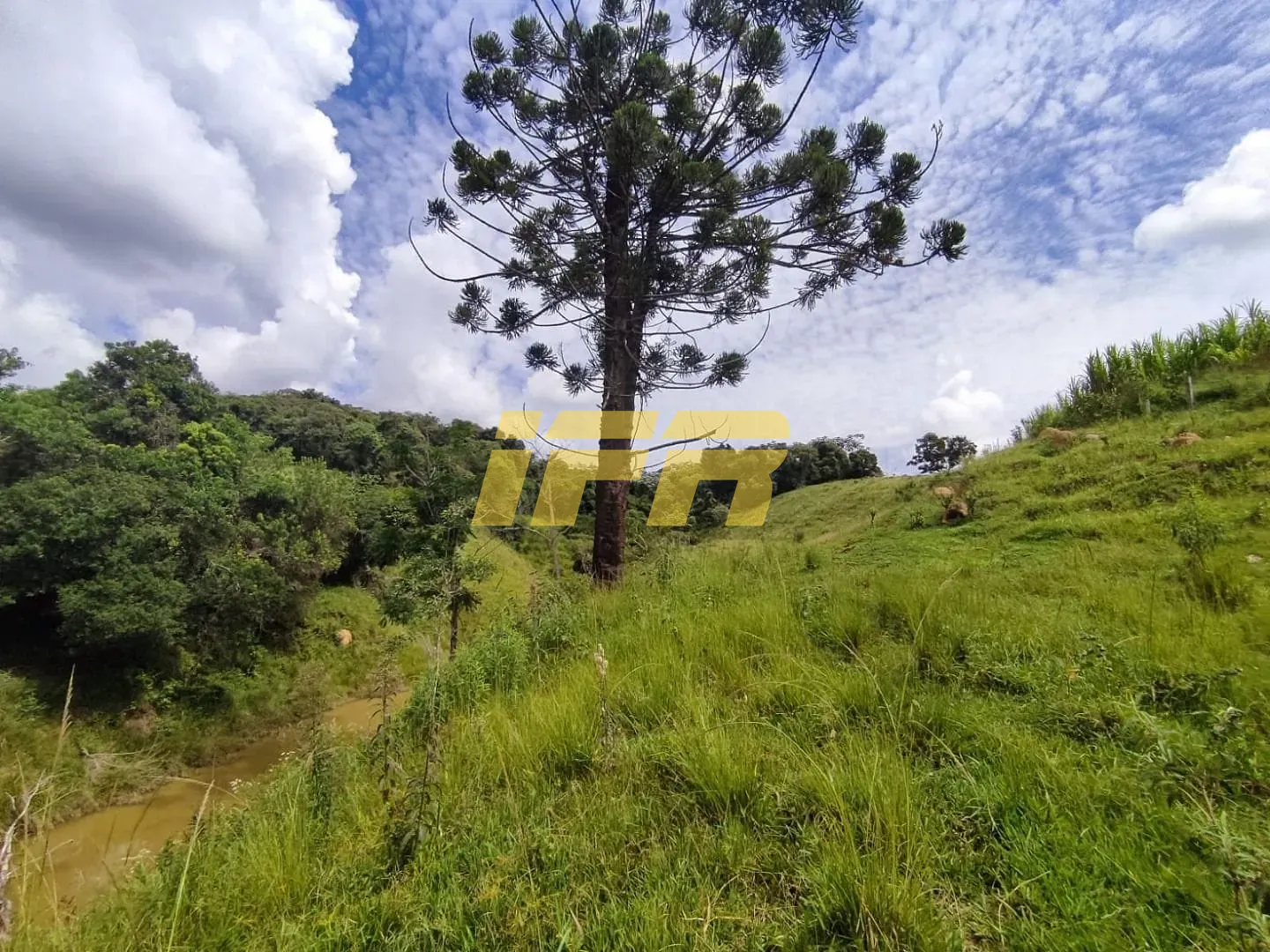 Fazenda, 46 hectares - Foto 23