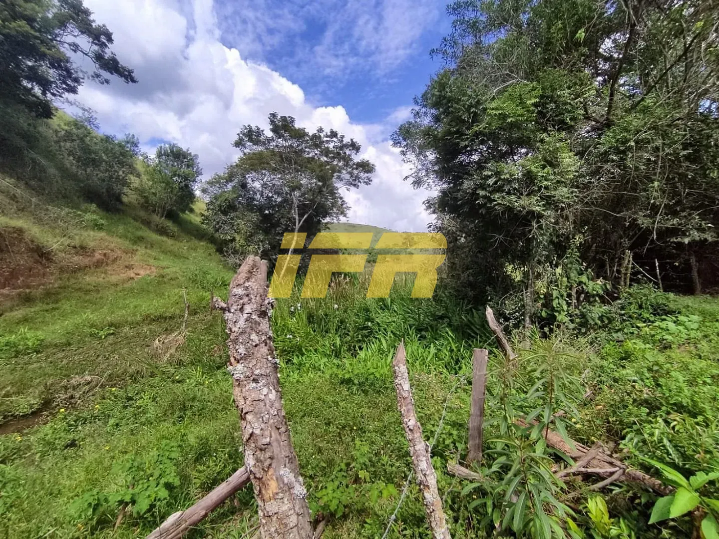 Fazenda, 46 hectares - Foto 42