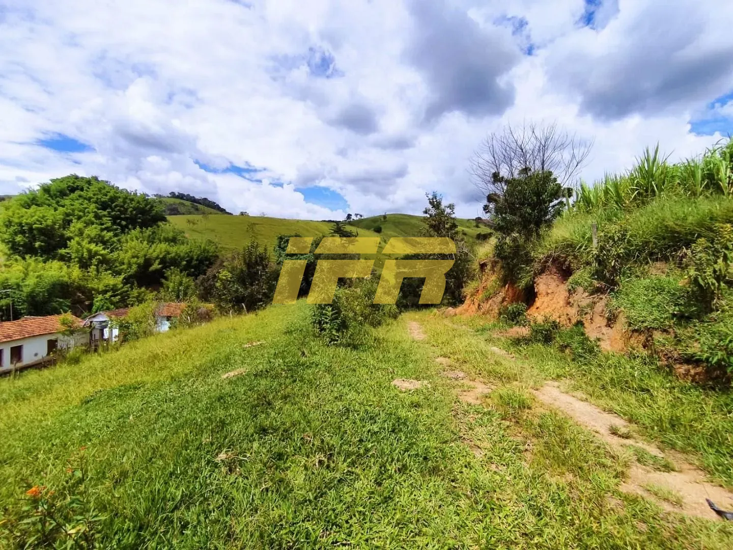Fazenda, 46 hectares - Foto 14