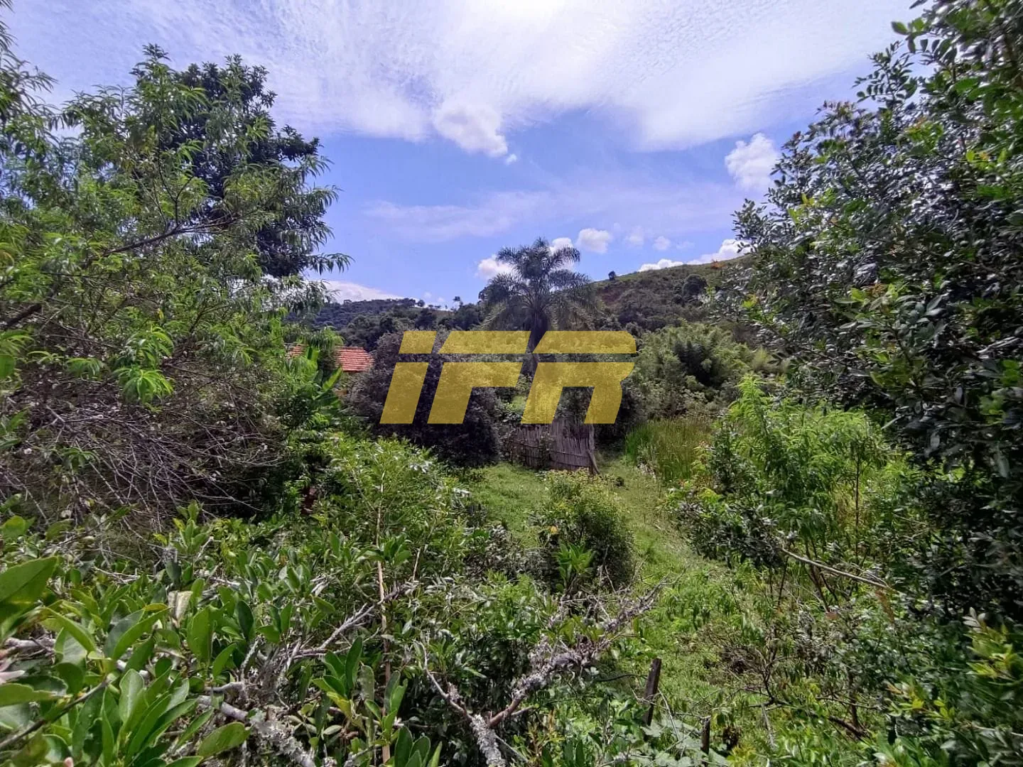 Fazenda, 46 hectares - Foto 49