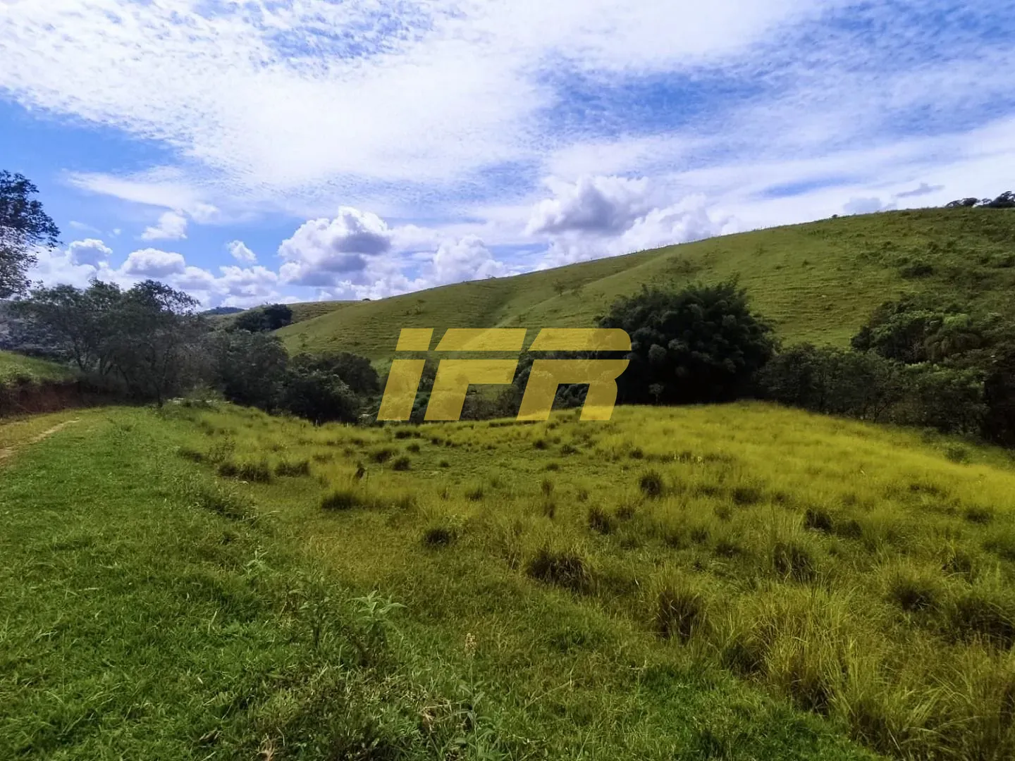 Fazenda, 46 hectares - Foto 40