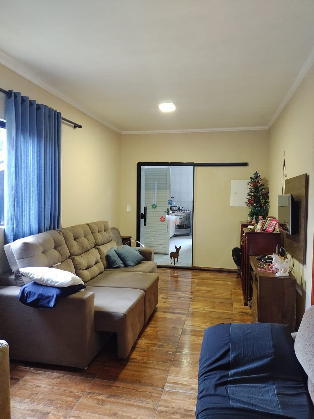 Sítio, 3 quartos, 7537 m² - Foto 14