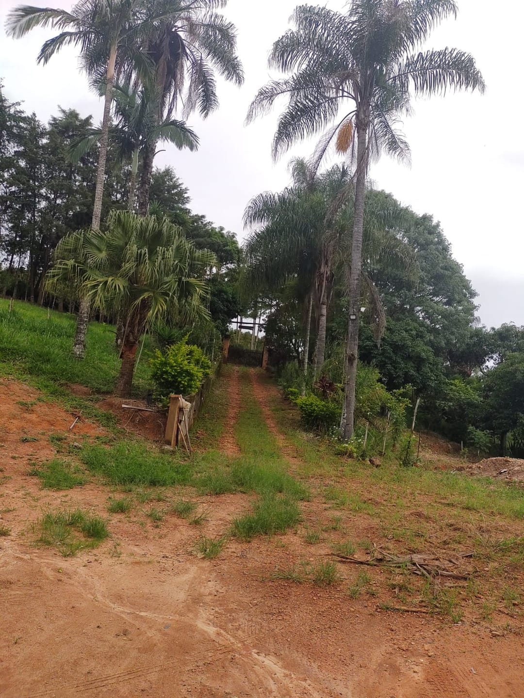 Sítio, 3 quartos, 7537 m² - Foto 18