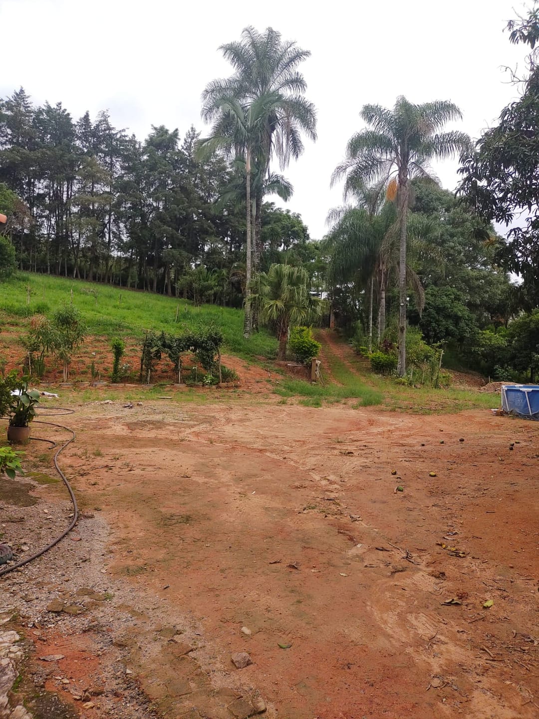 Sítio, 3 quartos, 7537 m² - Foto 19