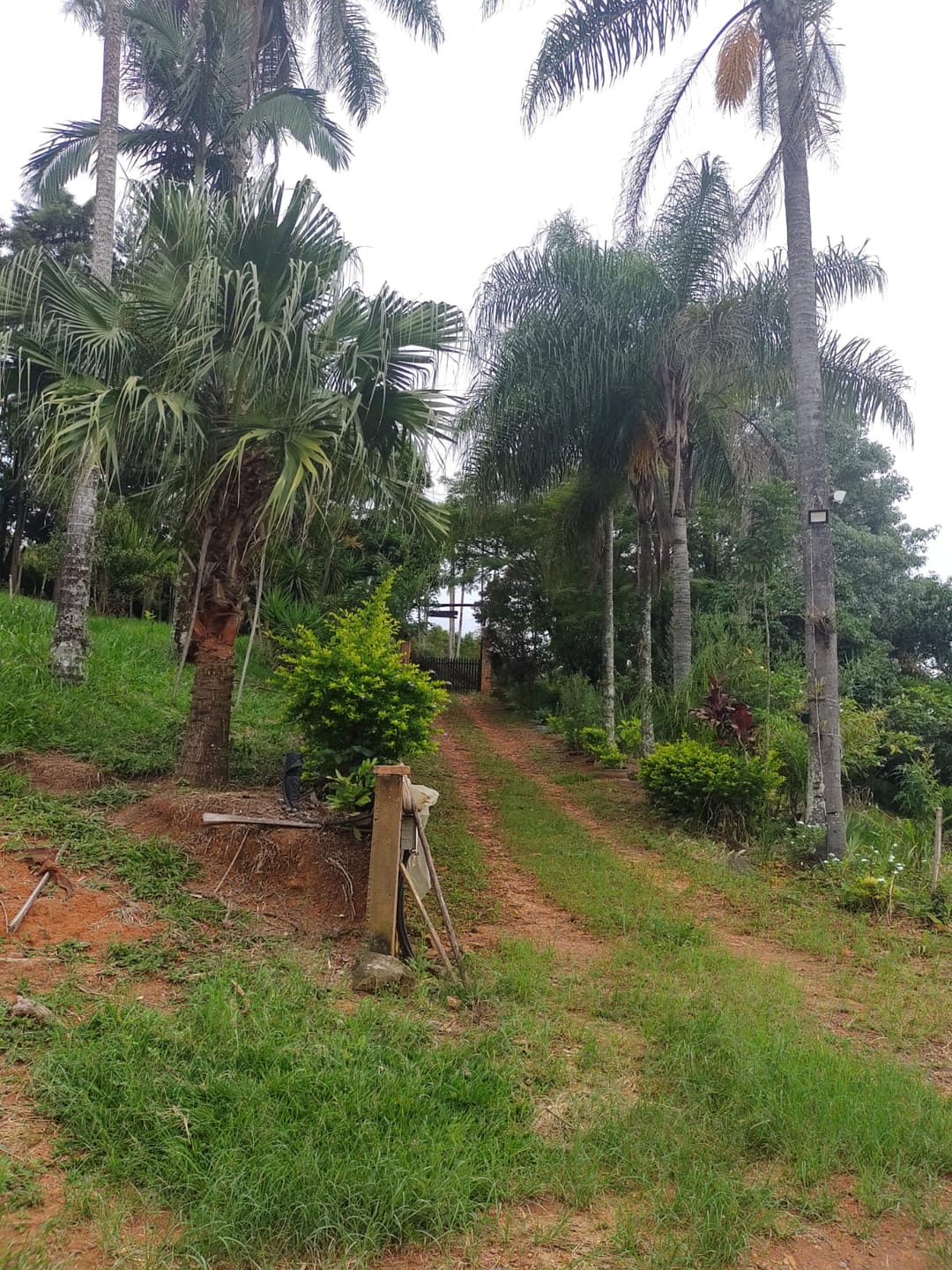 Sítio, 3 quartos, 7537 m² - Foto 21