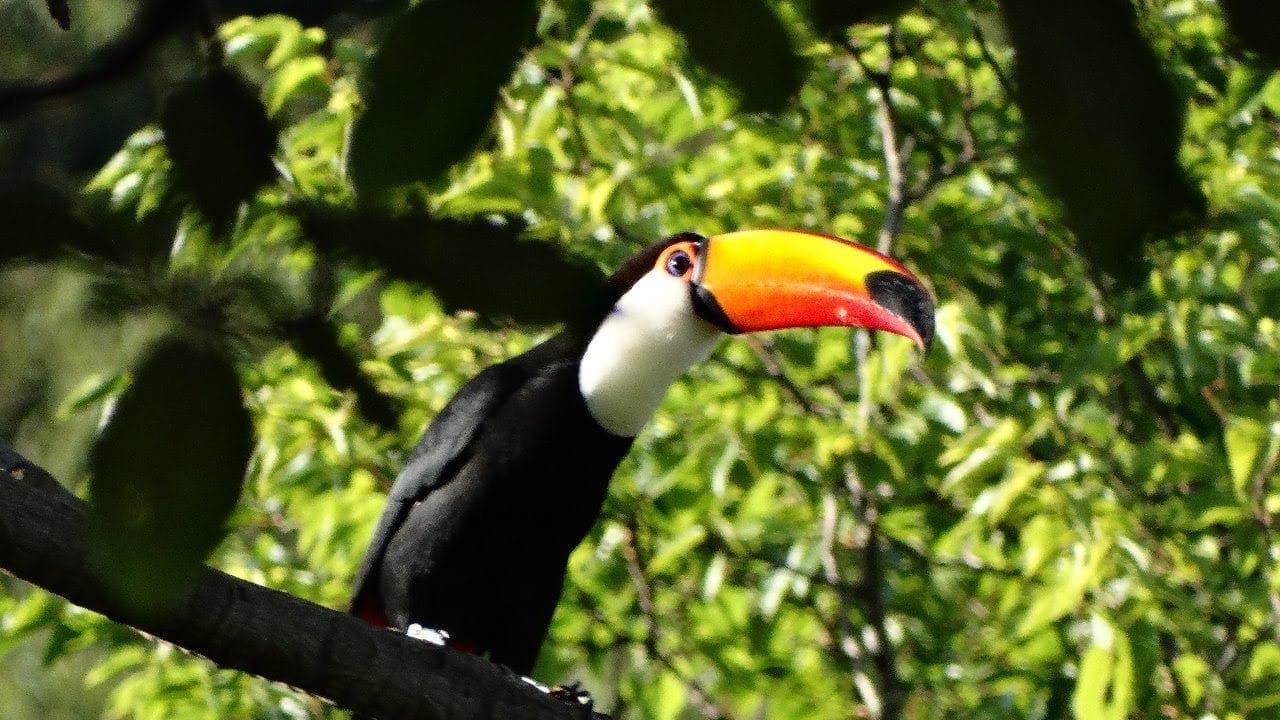 Sítio, 3 quartos, 7537 m² - Foto 25