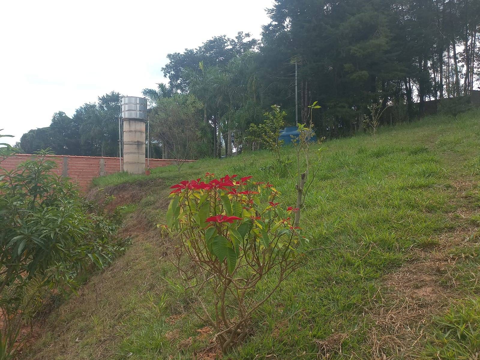 Sítio, 3 quartos, 7537 m² - Foto 61