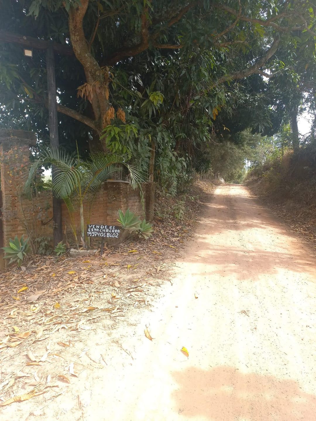 Sítio, 3 quartos, 7537 m² - Foto 63