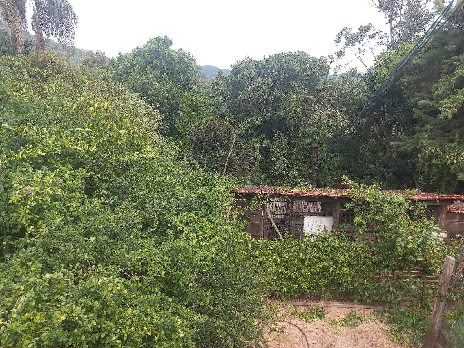 Sítio, 3 quartos, 7537 m² - Foto 41