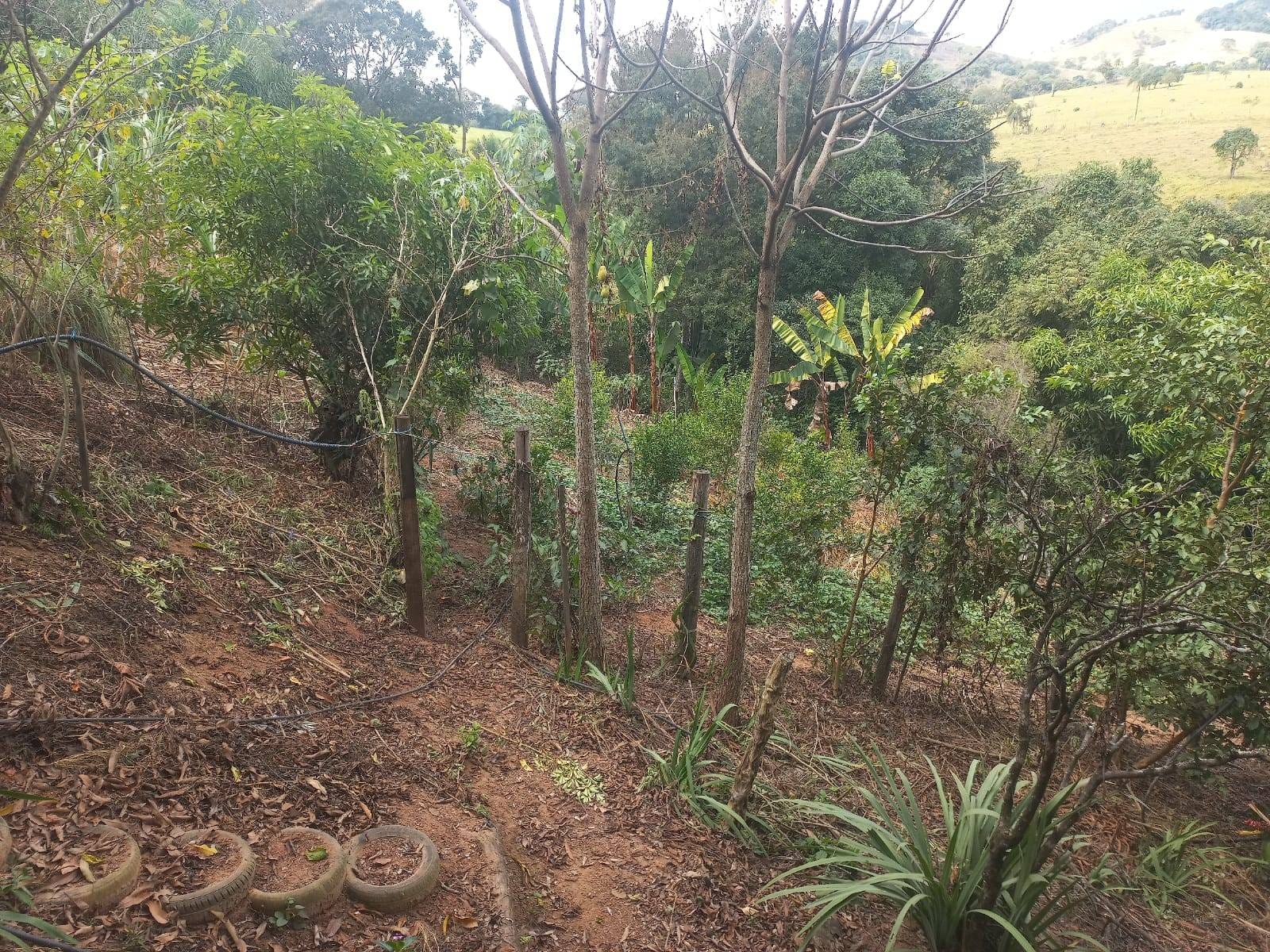 Sítio, 3 quartos, 7537 m² - Foto 42