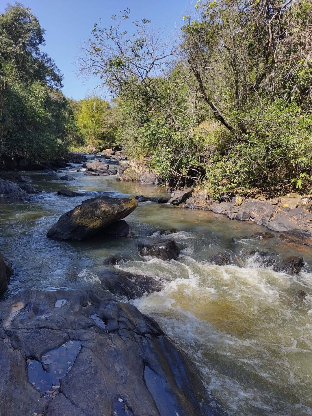 Sítio, 3 quartos, 7537 m² - Foto 45