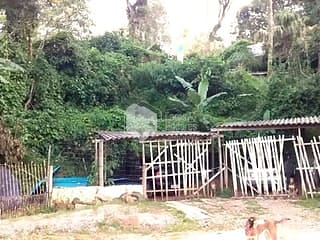 Foto do Sítio-CHÁCARA À VENDA, COM 2.438 METROS COM POMAR EM PRODUÇÃO, COM RUA ASFALTADA E ILUMINAÇÃO E FARTO TRANSPORTE - MANTIQUEIRA, MAIRIPORÃ