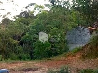 Foto do Sítio-CHÁCARA À VENDA, COM 2.438 METROS COM POMAR EM PRODUÇÃO, COM RUA ASFALTADA E ILUMINAÇÃO E FARTO TRANSPORTE - MANTIQUEIRA, MAIRIPORÃ
