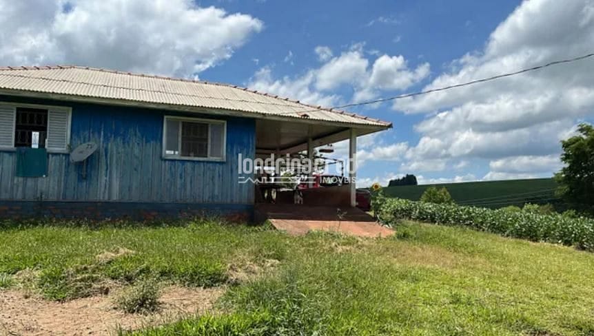 Fazenda, 15 hectares - Foto 1