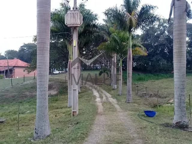Sítio com 33000m² 4 quartos e 4 banheiros, à venda, no bairro Área Rural de Saltinho em Saltinho