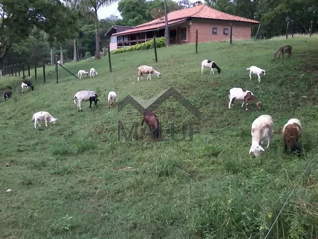 Sítio com 33000m² 4 quartos e 4 banheiros, à venda, no bairro Área Rural de Saltinho em Saltinho