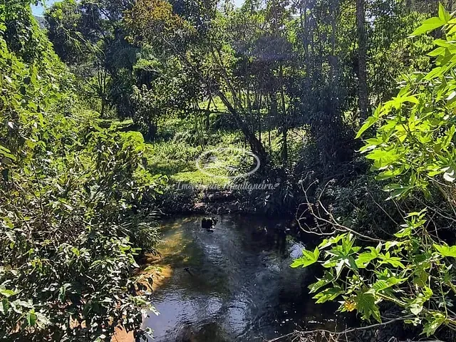 Sítio com 5318m², à venda, no bairro Bocaina de Minas em Bocaina de Minas