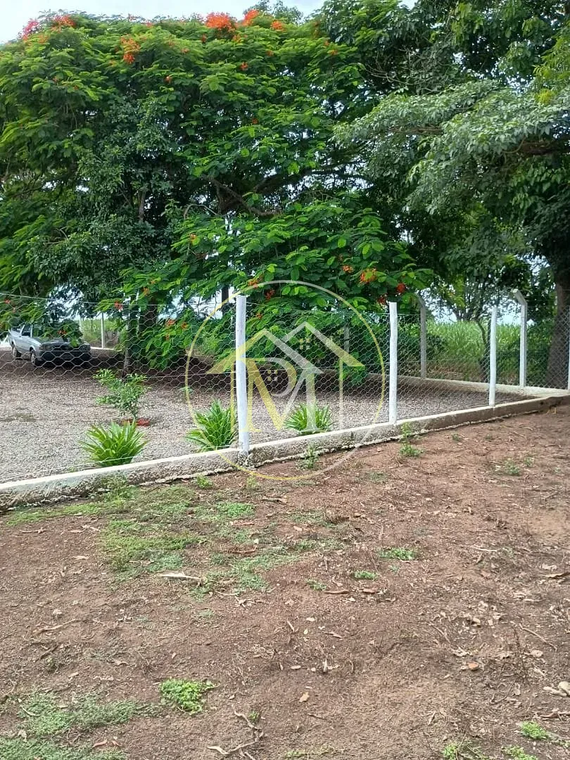 Sítio, 4 quartos, 3 hectares - Foto 31