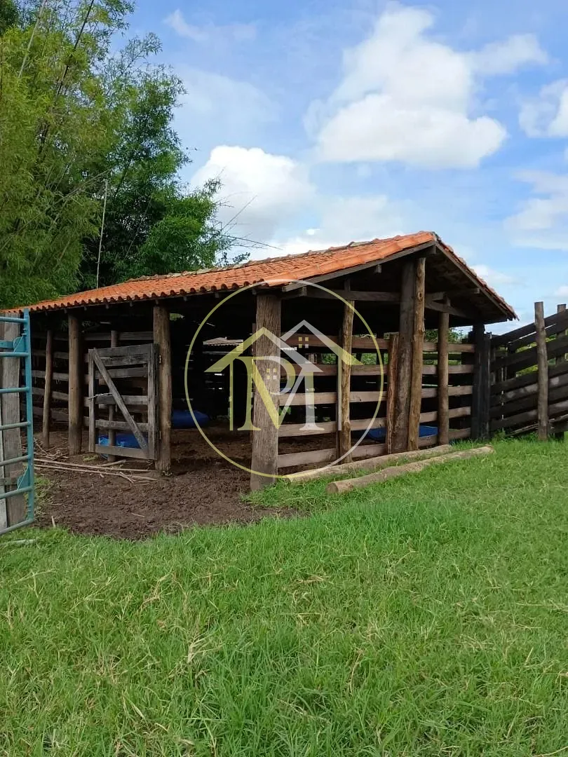 Sítio, 4 quartos, 3 hectares - Foto 23