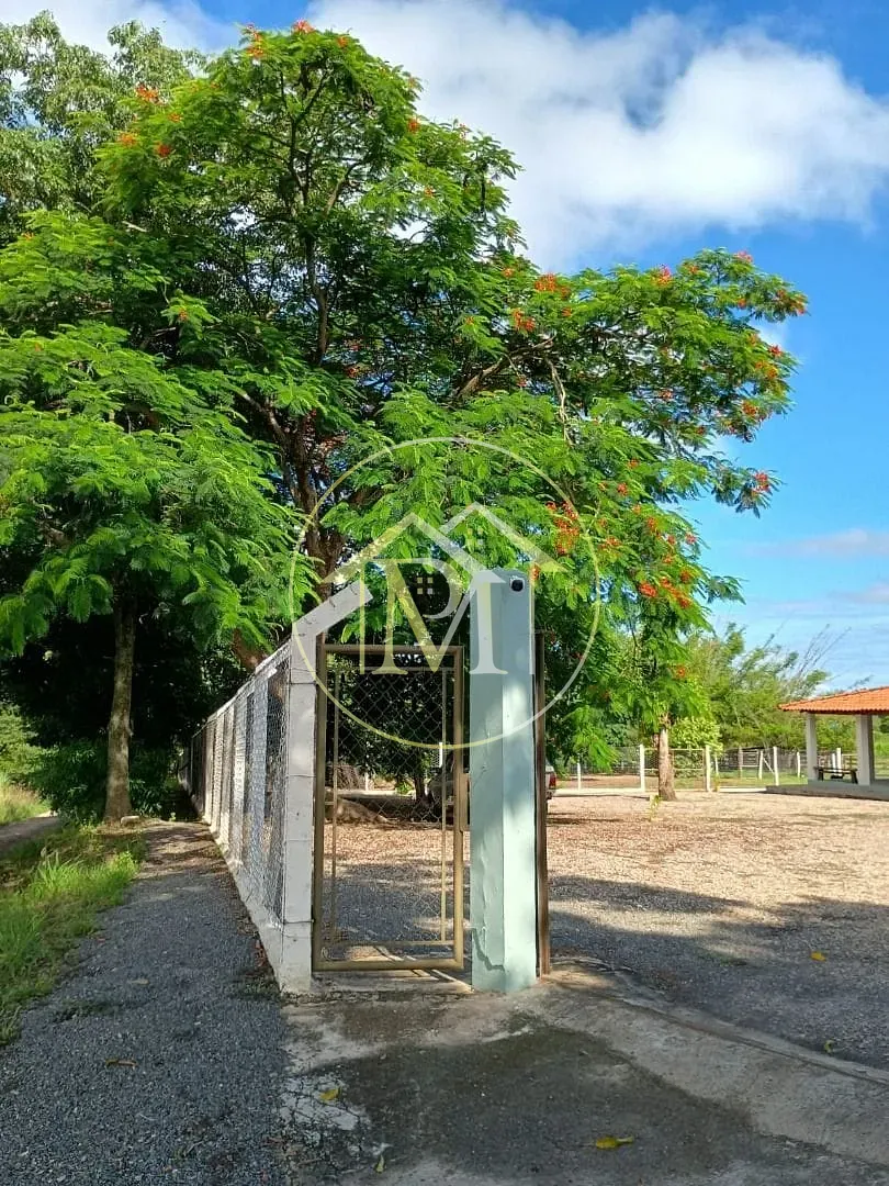 Sítio, 4 quartos, 3 hectares - Foto 3
