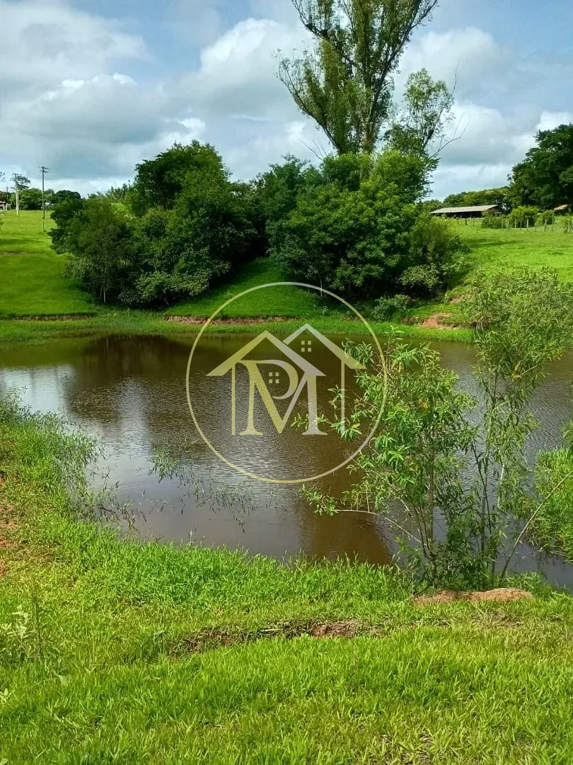 Sítio, 4 quartos, 3 hectares - Foto 34