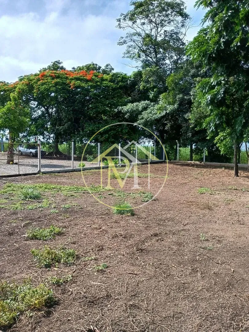 Sítio, 4 quartos, 3 hectares - Foto 18