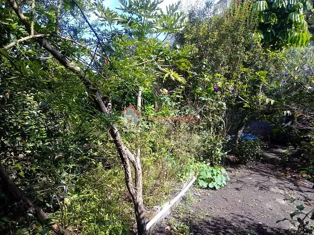 Sítio com 160m² 1 quarto e 3 banheiros, à venda, no bairro Oriental em Mairinque