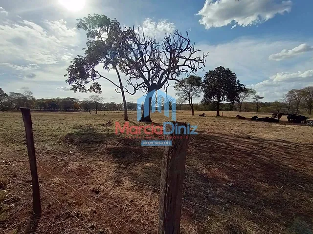 Sítio com 193158m² 2 quartos e 1 banheiro, à venda, no bairro Ituverava em Ituverava