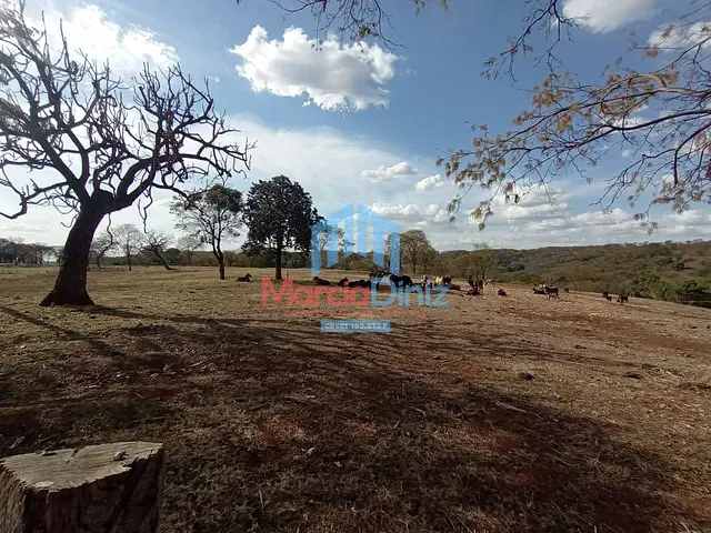 Sítio com 193158m² 2 quartos e 1 banheiro, à venda, no bairro Ituverava em Ituverava