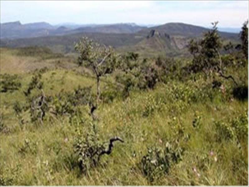 https://static.arboimoveis.com.br/SI0001_MF/sitio-zona-rural-analandia-r-mi-cod-1611345788335ncsvc.jpg
