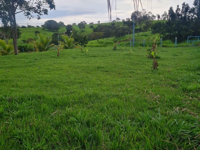 Sítio com 338800m² 3 quartos e 2 banheiros, à venda, no bairro zona rural em Alexânia