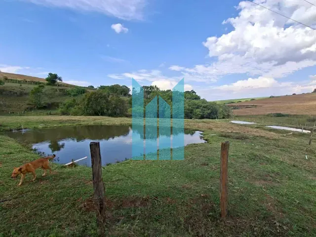 Sítio com 6m² 2 quartos e 2 banheiros, à venda, no bairro Cachoeira em Divisa Nova
