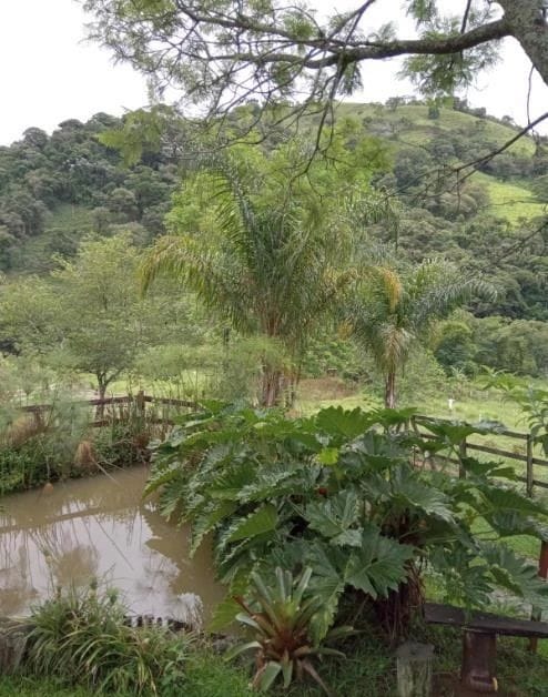 Rural / Chácara no Boa Vista — foto 8